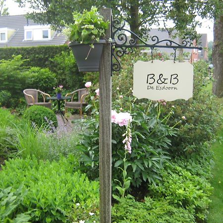 B&B De Esdoorn Norg Екстер'єр фото