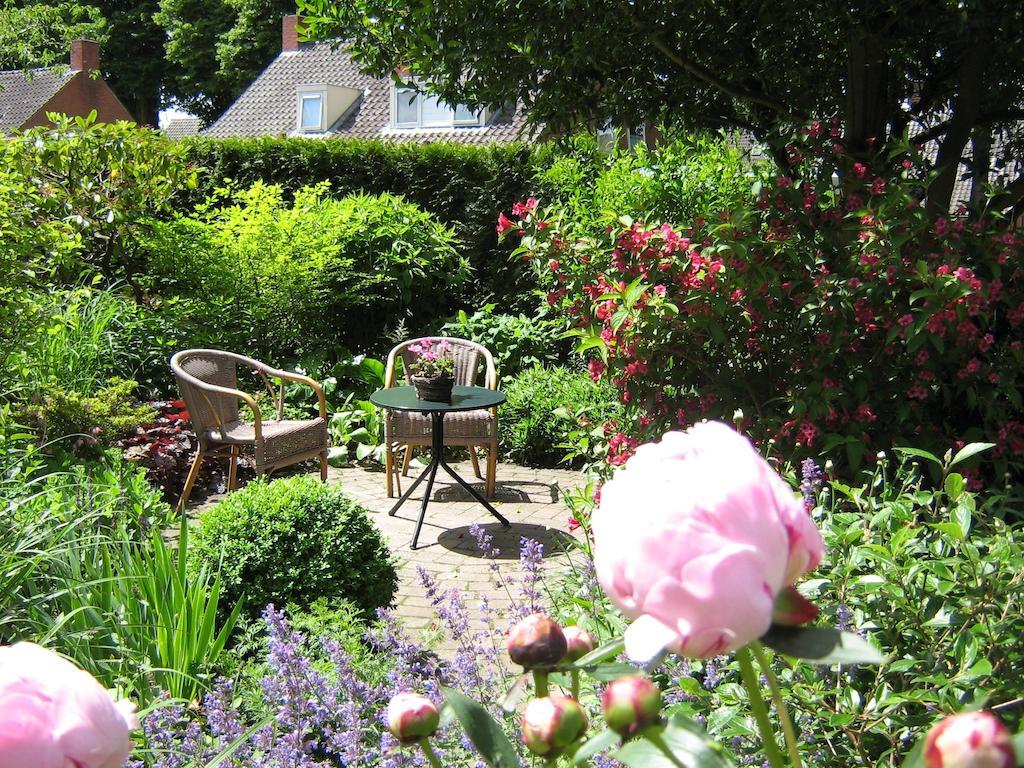 B&B De Esdoorn Norg Екстер'єр фото