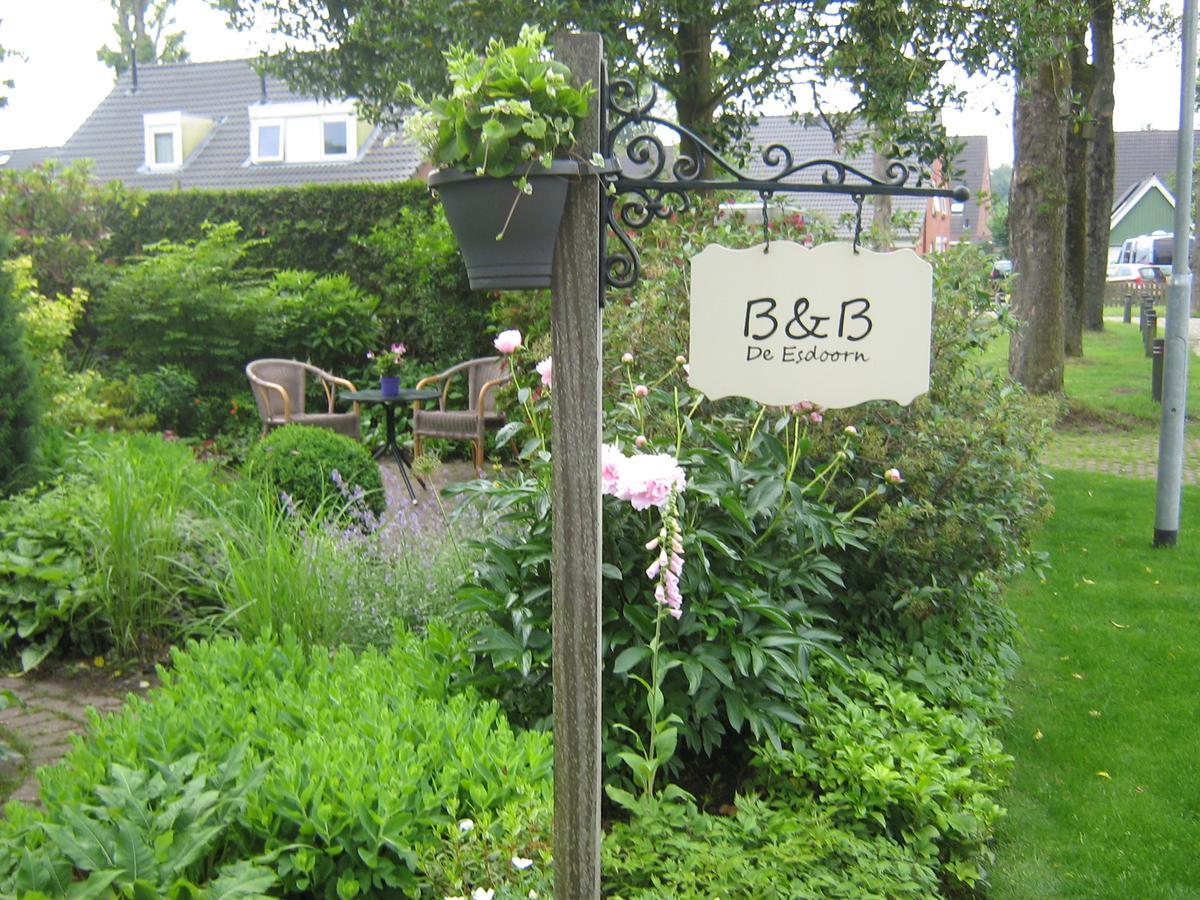 B&B De Esdoorn Norg Екстер'єр фото